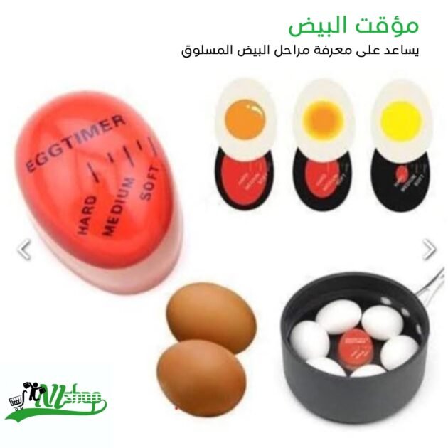 مؤقت البيض