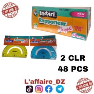 RAPPORTEUR FLEXIBLE 10CM/180° 2CLR 48PCS TZ0251